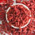 New wholesale small size berries goji